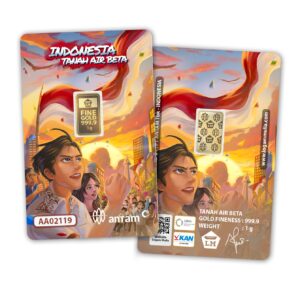 indonesia tanah air beta